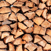 Aliquam erat volutpat